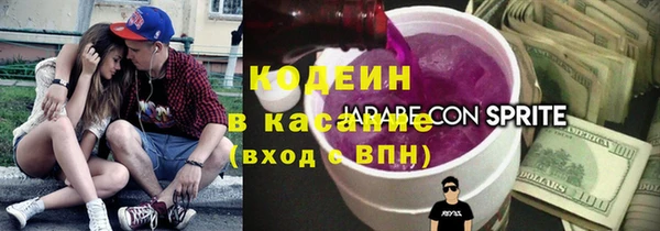 хмурый Касимов