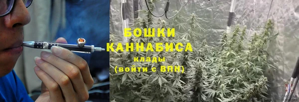 хмурый Касимов