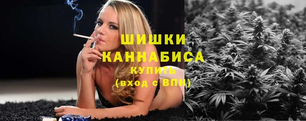 хмурый Касимов